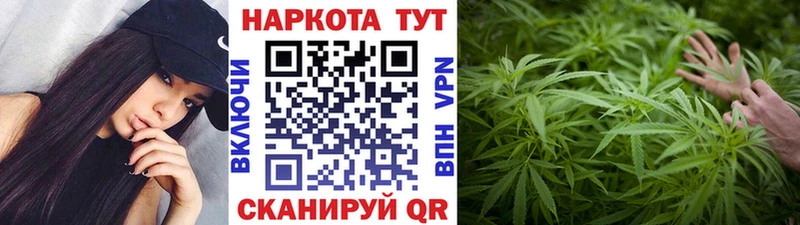 Виды наркотиков купить Сальск COCAIN  Экстази  Канабис  Гашиш 