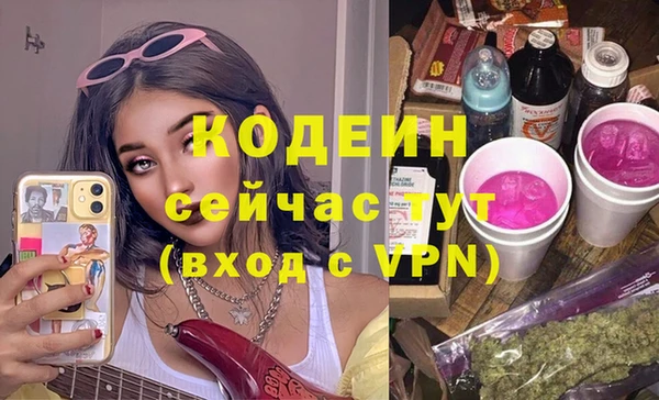 молекула духа Елизово