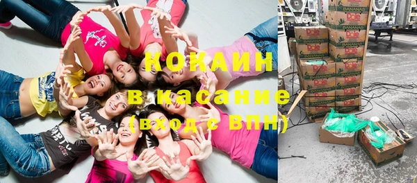 СК Дмитров