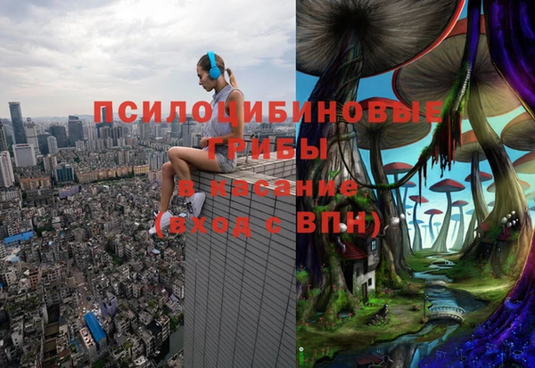 молекула духа Елизово