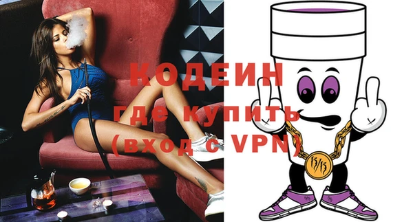 молекула духа Елизово