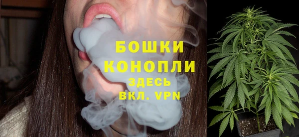 СК Дмитров