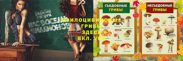 молекула духа Елизово