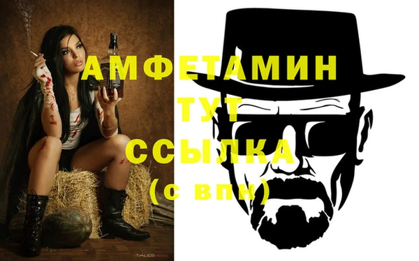 СК Дмитров