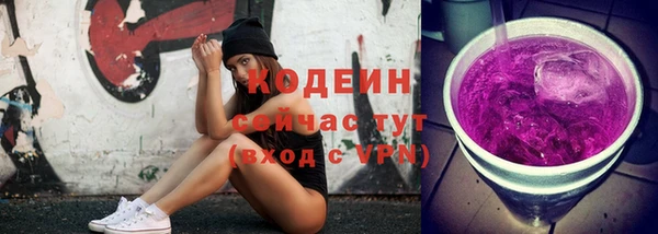 молекула духа Елизово