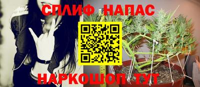 стафф Камышлов