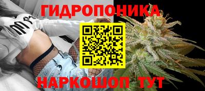 стафф Камышлов