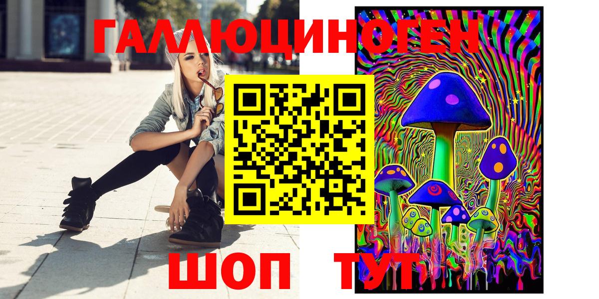 Псилоцибиновые грибы Cubensis Сальск